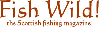 wild fish mag copy